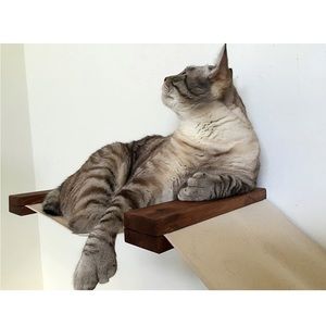 CatastrophiCreations Fabric Lift Hammock Lounger Wall-Mounted Cat Shelving, NIB